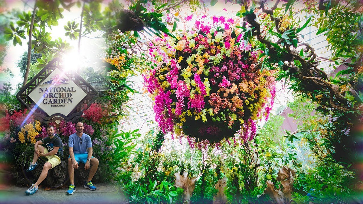 National Orchid Gardens