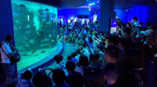 Penghu Aquarium