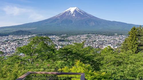 Fuji Five Lakes Day Tour from Tokyo: Lake Yamanaka, Oshino Hakkai, Lawson and Hikawa Clock Shop (English)