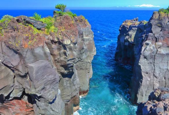 Izu Day Tour from Tokyo: Atami Coast Road, Mount Omuro and Jogasaki Coast (Chinese and Japanese Guide)