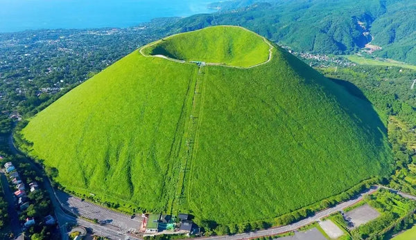 Izu Day Tour from Tokyo: Atami Coast Road, Mount Omuro and Jogasaki Coast (Chinese and Japanese Guide)