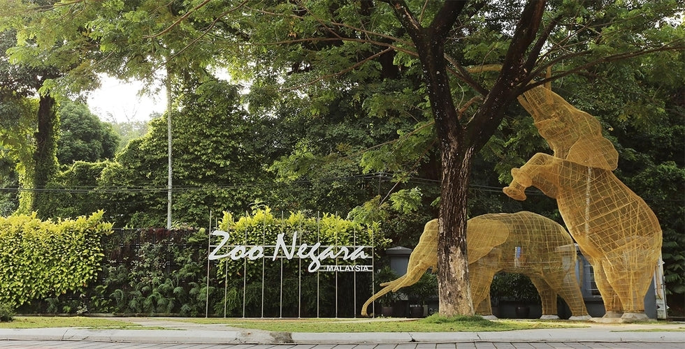 The Zoo Negara entrance sign beside wire-frame elephant sculptures under trees.