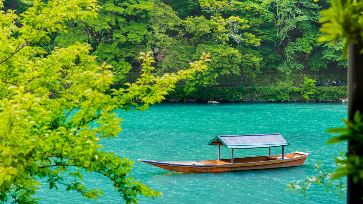 Kyoto, Nara, Fushimi Inari Shrine, Arashiyama Day Trip
