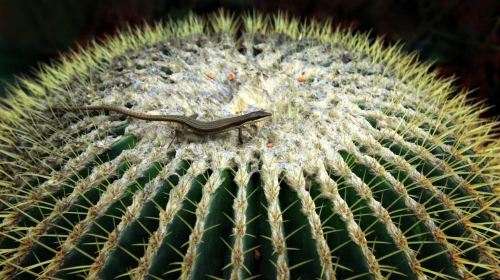 Green World Ecological Farm