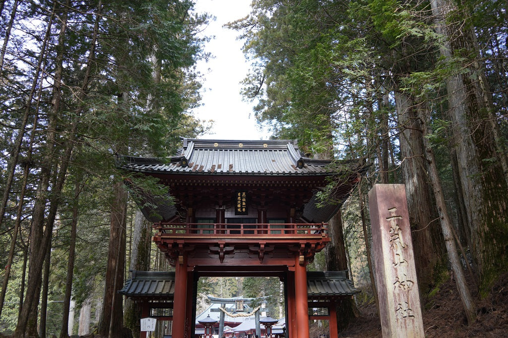 Nikko Day Tour from Tokyo: Toshogu Shrine, Kegon Falls and Lake Chuzenji (English Guide)