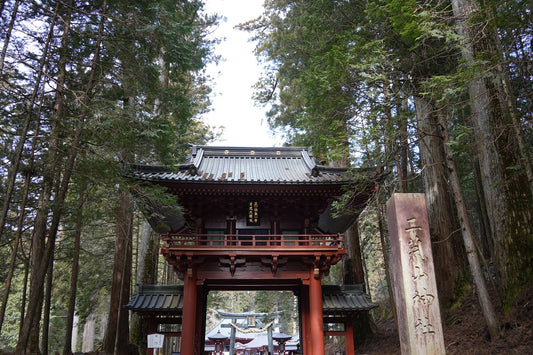 Nikko Day Tour from Tokyo: Toshogu Shrine, Kegon Falls and Lake Chuzenji (English Guide)