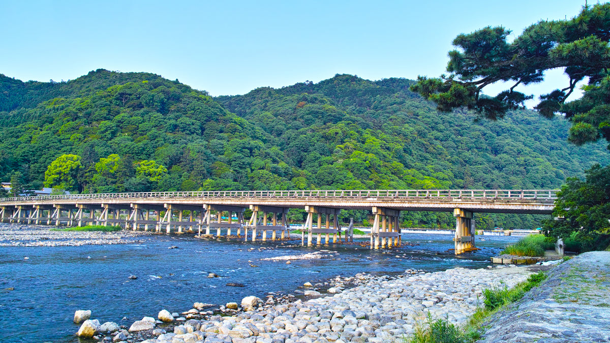 Kyoto, Nara, Fushimi Inari Shrine, Arashiyama Day Trip