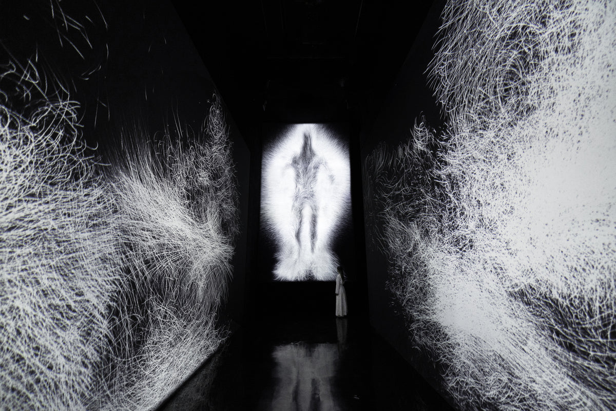 Full installation view of Dissipative Figures – Human, Light in Dark and 1000 Birds, Light in Dark_1_credit to teamLab.jpg