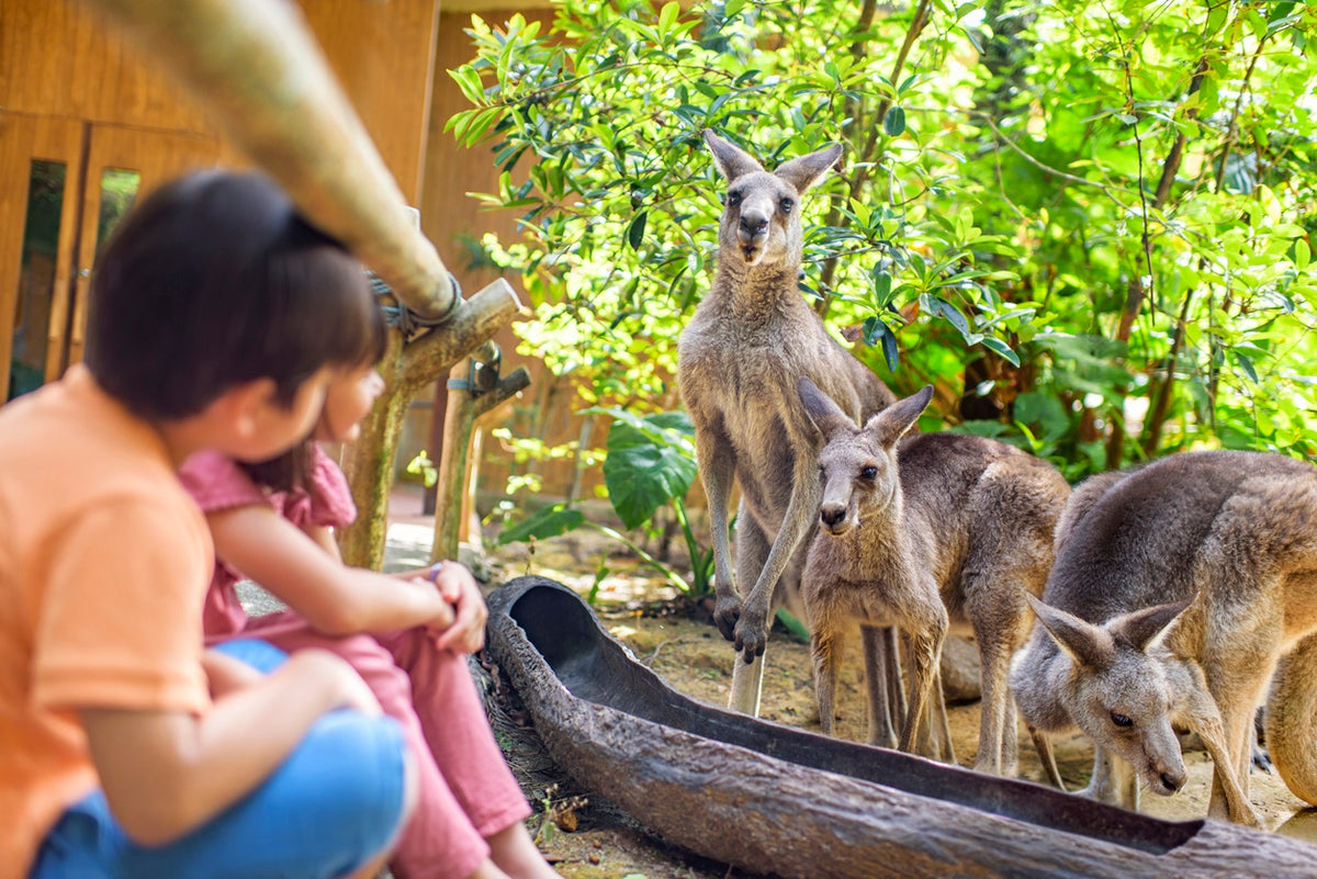 Singapore Zoo