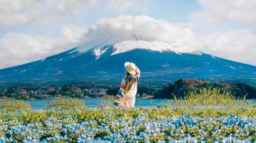 Fuji Five Lakes Day Tour from Tokyo: Lake Yamanaka, Oshino Hakkai, Lawson and Hikawa Clock Shop (English)