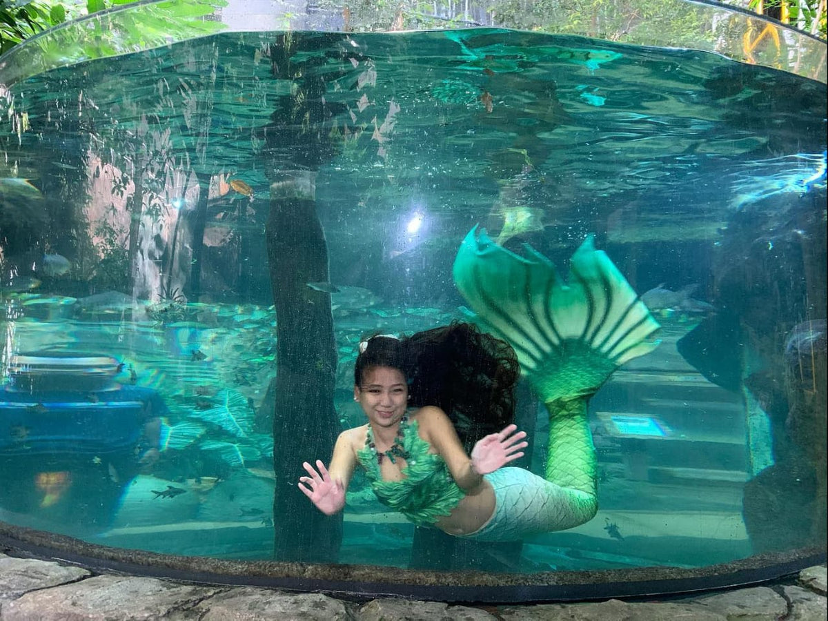 A performer in a mermaid tail waving from inside a viewing tank.