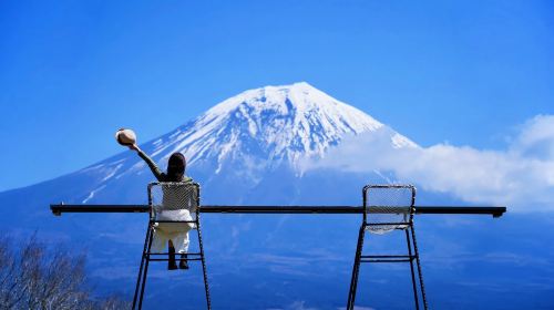Mount Fuji Day Tour from Tokyo: Chureito Pagoda, Oshino Hakkai and Lake Kawaguchi (English Guide)