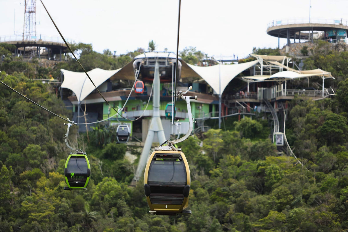 Gondolas passing the tented summit station roofs above the forest canopy.