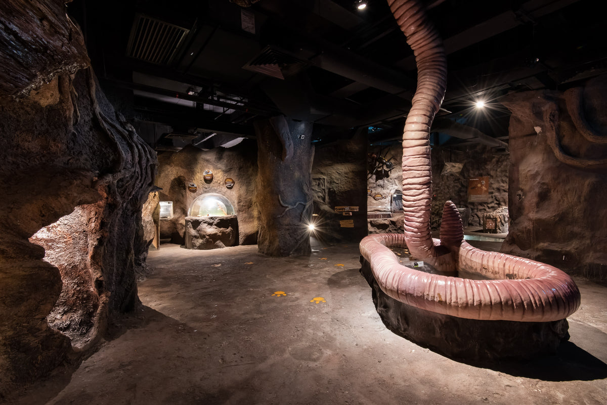 A cave-like exhibit room with a giant model worm coiled on the floor.