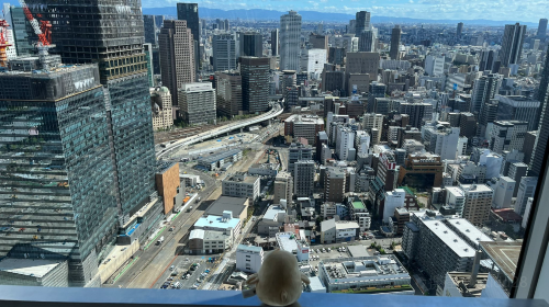 Umeda Sky Building