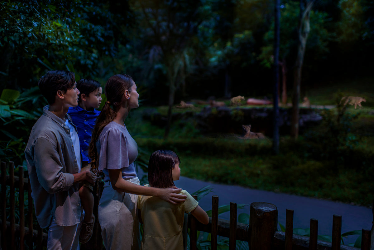 Night Safari