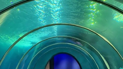 Penghu Aquarium