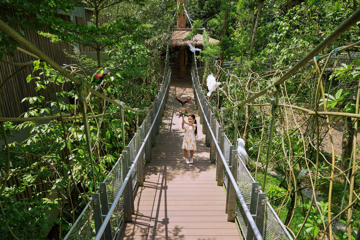 Bird Paradise