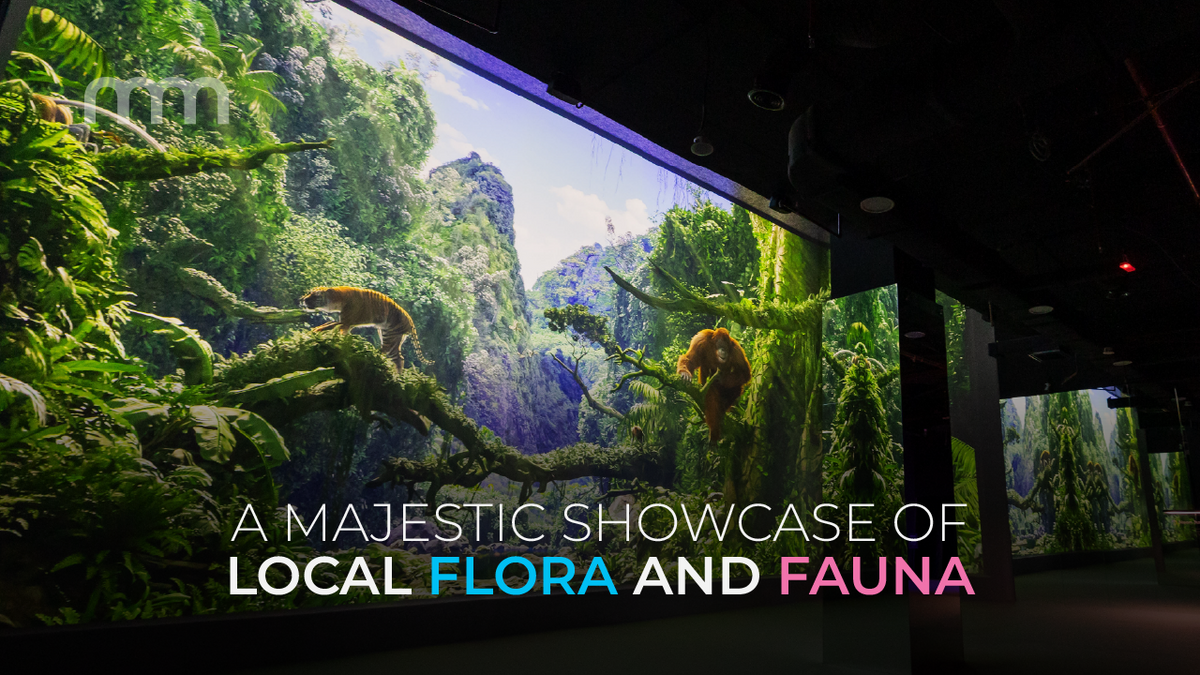 A wall-sized projection of rainforest and wildlife in a darkened gallery.
