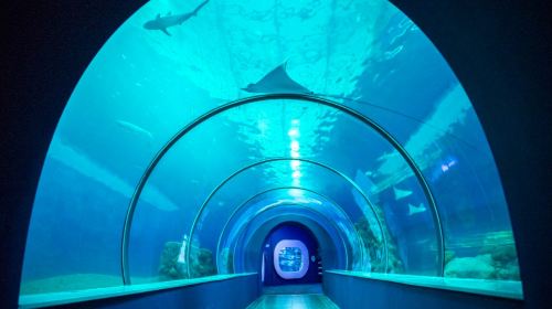 Penghu Aquarium