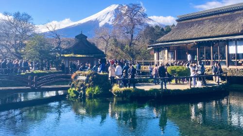 Mount Fuji Day Tour from Tokyo: Chureito Pagoda, Oshino Hakkai and Lake Kawaguchi (English Guide)