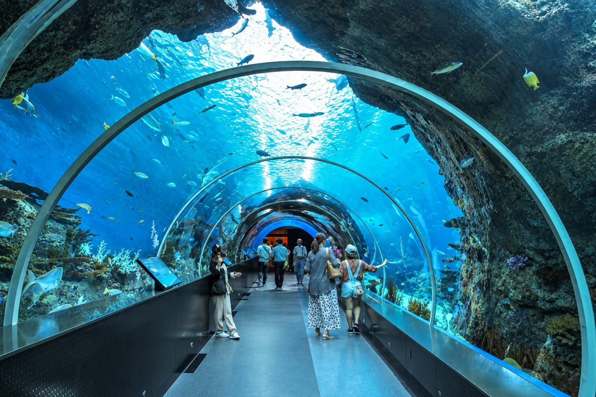 Resorts World Sentosa 5